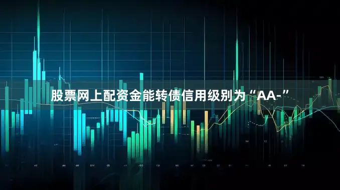 股票网上配资金能转债信用级别为“AA-”