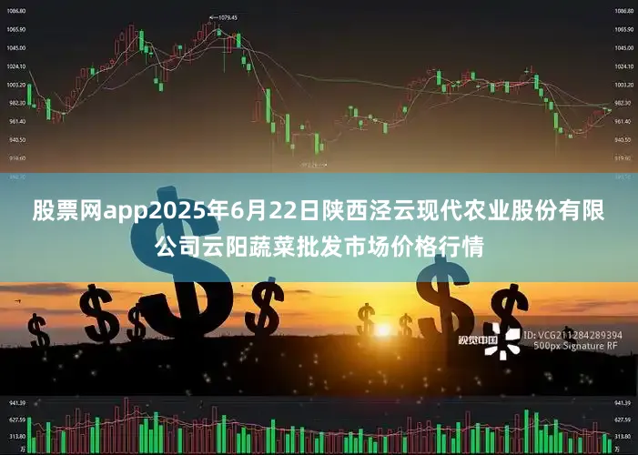 股票网app2025年6月22日陕西泾云现代农业股份有限公司云阳蔬菜批发市场价格行情