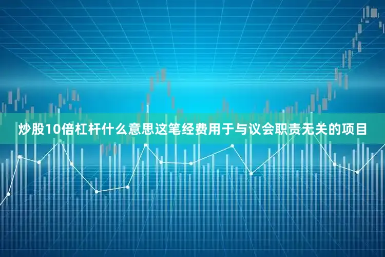 炒股10倍杠杆什么意思这笔经费用于与议会职责无关的项目