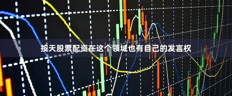 按天股票配资在这个领域也有自己的发言权