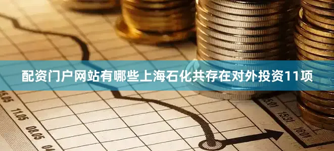 配资门户网站有哪些上海石化共存在对外投资11项
