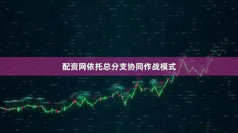 配资网依托总分支协同作战模式