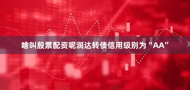 啥叫股票配资呢润达转债信用级别为“AA”