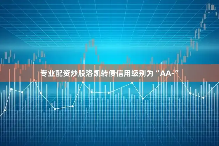 专业配资炒股洛凯转债信用级别为“AA-”