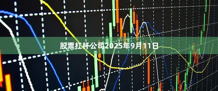 股票杠杆公司2025年9月11日